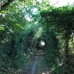 La Paix, Bucolique En Normandie Дом отдыха Conde-sur-Noireau