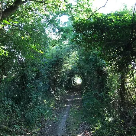 La Paix, Bucolique En Normandie Dom wakacyjny Condé-sur-Noireau
