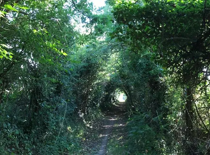 La Paix, Bucolique En Normandie 別荘 Condé-sur-Noireau