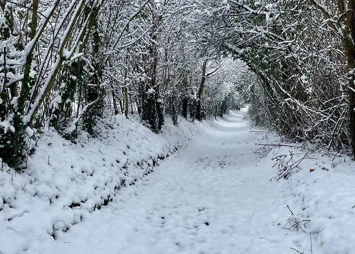 Σπίτι διακοπών La Paix, Bucolique En Normandie *
